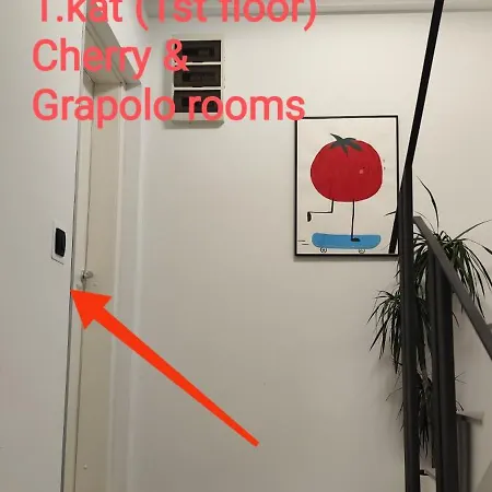 Pomodoro Rooms Zagreb Exteriör bild